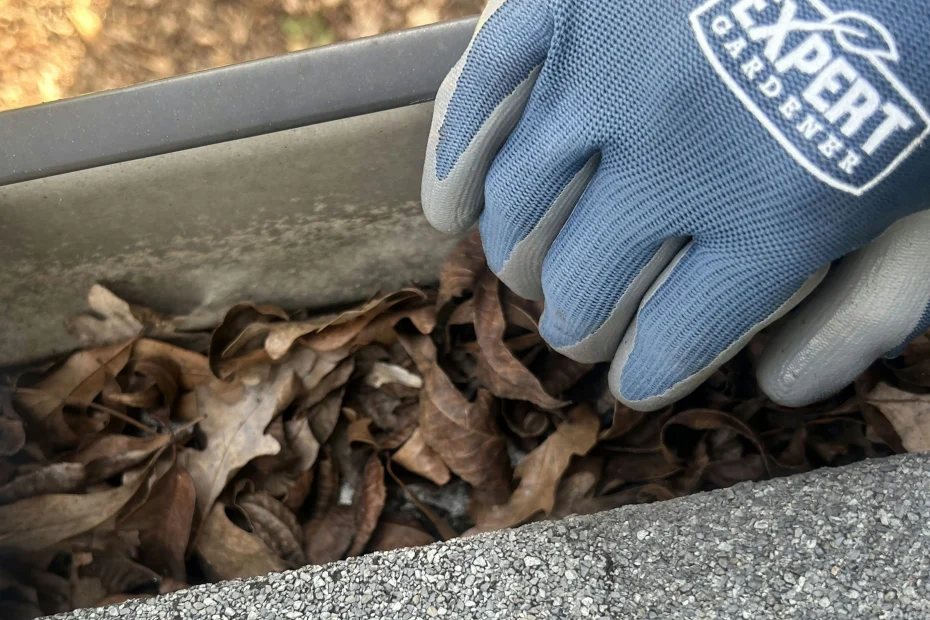 Gutter Cleaning Manalapan FL