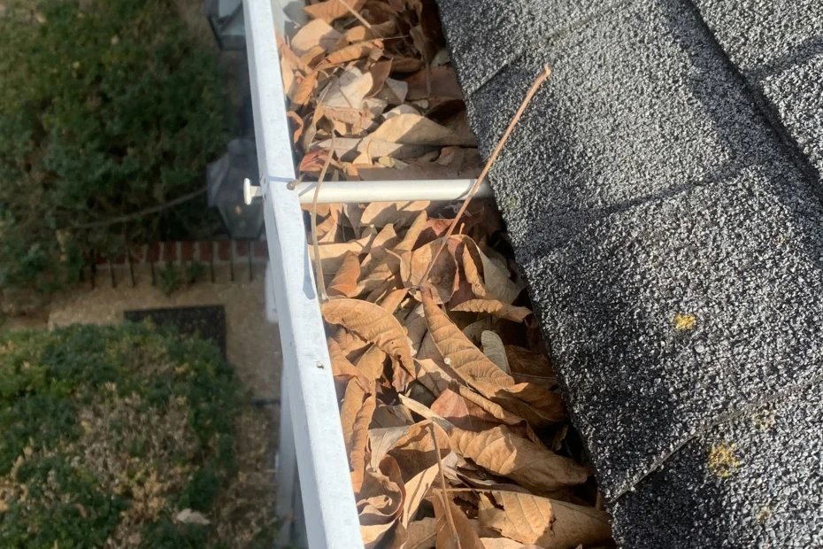 Gutter Cleaning Manalapan FL