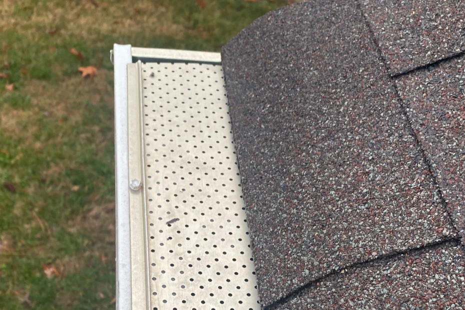 Gutter Cleaning Manalapan FL